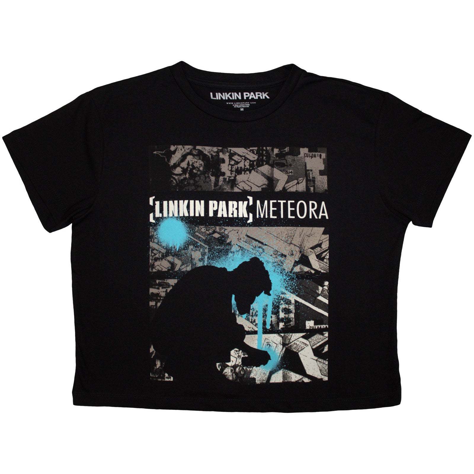 LINKIN PARK - METEORA DRIP COLLAGE - Crop Top Black