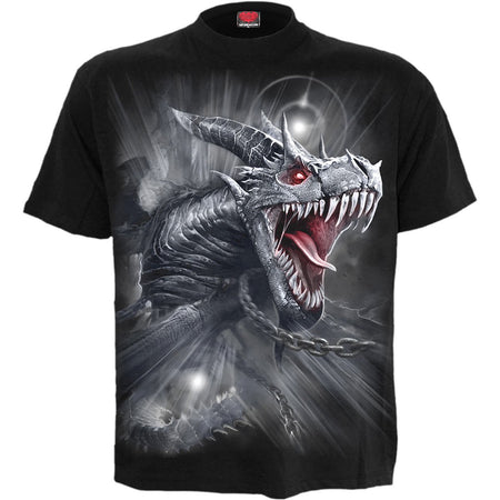 DRAGONS CRY T Shirt