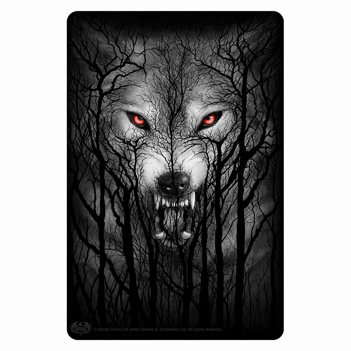 FOREST WOLF - Greet Tin Metal Cards